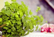 学会这些妙招让你凉爽过一夏！（怎样才能凉爽）