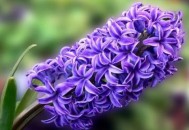 这样做你的生活更美妙！（这样做你的生活更美妙英语）