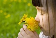 为啥高知家庭的孩子易自闭？（为啥高知家庭的孩子易自闭呢）