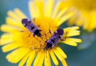 这些因素最容易消磨你的斗志（什么会消磨一个人的斗志）