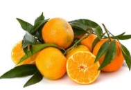 吃什么让你明目醒脑（吃什么让你明目醒脑呢）