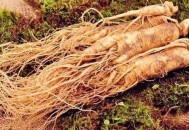 盘点中医常用的5种美容药物（盘点中医常用的5种美容药物有哪些）