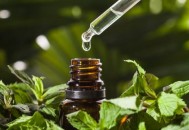 精油被誉为西方护肤中草药 精油使用注意事项（精油护肤的功效与用法）