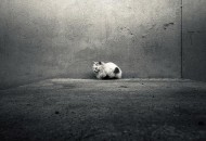 如何与自闭症儿童沟通？（如何与自闭症儿童沟通）