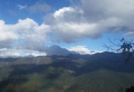 给你支招自驾游的经验（给你支招自驾游的经验怎么写）