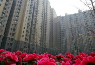 广东省江门地区公租房的申请条件（广东省江门地区公租房的申请条件是什么）