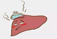 肝脏受损的征兆别忽视！（肝脏受损的表现）