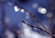 2019年雨水节气是农历几月几日 2019年雨水时间(2019年雨水是几月几号) 2019年雨水节气是农历几月几日 2019年雨水时间(2019年雨水是几月几号)