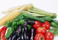 护理肝脏要多吃这些食物（护理肝脏要多吃这些食物吗）