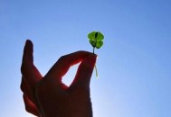 职场新人别太狂傲 细数新人狂傲事例（职场新人的案例）