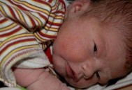 初生婴儿的五个奇怪状况（新生儿的最初症状）