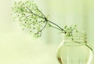 教你如何搞定你的老板（教你如何搞定你的老板呢）