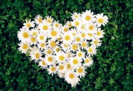 职场女强人应该具备的心理素质（职场女强人应该具备的心理素质有哪些）