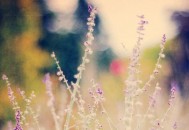 管理者不妨与员工一起游戏中进取（管理者不妨与员工一起游戏中进取的例子）