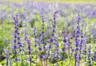 身在职场必须明白的“潜规则”