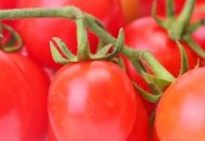 春季护肤养颜常吃八大食物 春季美白水果推荐（春季吃什么水果美白对皮肤好）