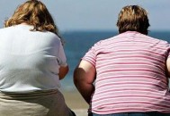 肥胖孕妇的饮食安排 西洋参炖鸡汤有助养胎（孕妇吃西洋参炖鸡汤吗）