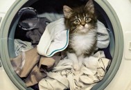 家里乱糟糟？教你收纳你的衣服鞋子！（家里乱糟糟?教你收纳你的衣服鞋子视频）