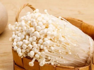 金针菇发黄了还能吃吗 金针菇怎么才算变质(金针菇发黄了还能吃吗?) 金针菇发黄了还能吃吗 金针菇怎么才算变质(金针菇发黄了还能吃吗?)