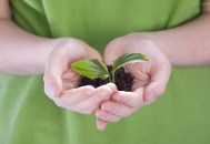 4月10日是什么节日？非洲环境保护日是几月几日（4月10日是什么节日?非洲环境保护日是几月几日）