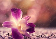 如何提升在职场的安全感（如何提升在职场的安全感论文）