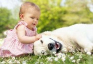 易上火？这些食物帮你降火！（易上火?这些食物帮你降火吗）