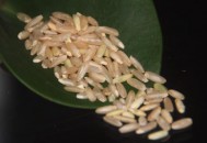 冬季减肥不用节食 这几种食物越吃越瘦（冬季减肥不用节食 这几种食物越吃越瘦吗）