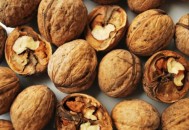 初春防病食物 这七种非常适合（初春防病食物 这七种非常适合吃）