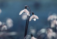 大学生初入职场如何自我调节（大学生步入职场心态怎么调节）