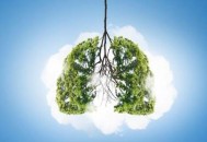 春季养肺有妙招 润肺养肺食物大盘点（春季养肺润肺的食物）