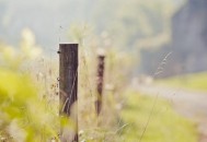 最易“嫁给工作”的职场星座女