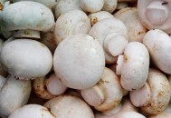 预防癌症从饮食开始 教你用饮食抗击八种癌症（预防癌症的饮食因素主要有哪些）