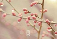 2019年立春是农历几月几日 2019年立春时间(2019年立春是农历哪一天几点) 2019年立春是农历几月几日 2019年立春时间(2019年立春是农历哪一天几点)