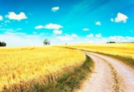 别再抱怨你的工作 抱怨让你更加不顺（别再抱怨你的工作 抱怨让你更加不顺心）