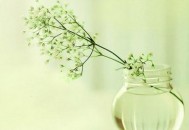 为什么有幽默感的人更易获得成功？（为什么有幽默感的人更易获得成功呢）