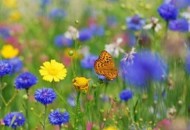 春季脸部皮肤过敏 应对过敏最有效的方法（春季脸部皮肤过敏 应对过敏最有效的方法是）