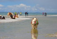 去西藏旅游 高原反应头疼的应对方法(去西藏高原反应头疼怎么缓解) 去西藏旅游 高原反应头疼的应对方法(去西藏高原反应头疼怎么缓解)
