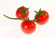 孕妇适量食用酸味水果 促进食欲养护胎儿（孕妇适量食用酸味水果 促进食欲养护胎儿健康）