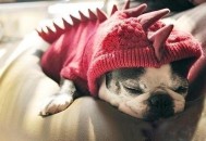 怎么午睡 这样午睡让你精力更充沛（怎样才能午睡质量好）