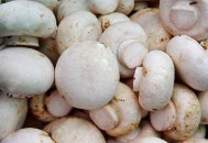 女性秋冬如何养阴 入秋女性进补九大忌（秋冬季节女性如何养生）